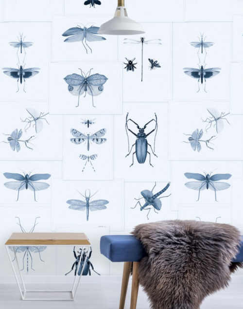 Entomology blue 01 mind the gap behang den haag frederikpremier interieurwinkel