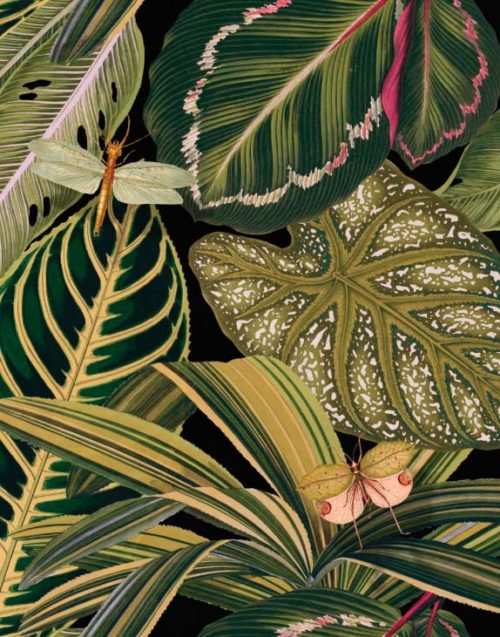 Mind the Gap II - Behang AMAZONIA Frederik Premier 12122019